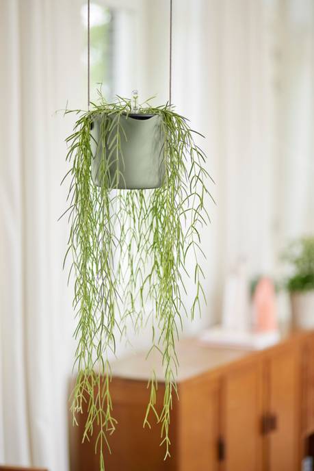 b.for swing 18cm verde pietra